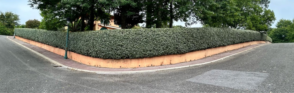 Andoni L. (Andoni Lamothe Espaces Vert...