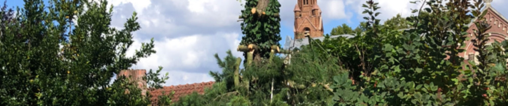 Jean-Marc M. (MALLA JEAN-MARC)