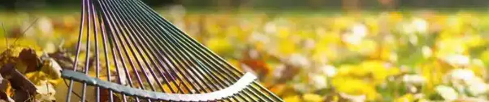 Anthony R. (AR Services & Convoyages)