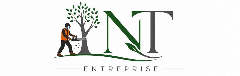 Shun P. (ntentreprise)