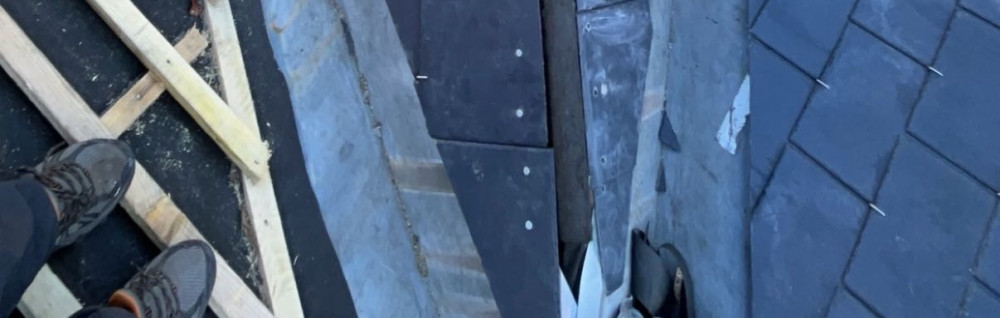 Antonio B. (vision correia)