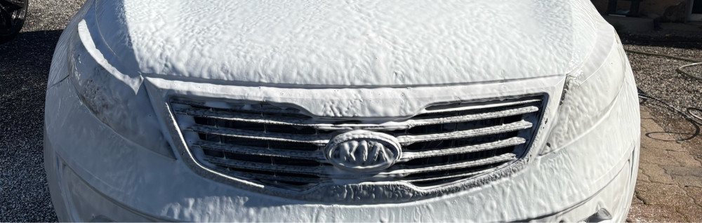 Fellex A. (Autoclean)