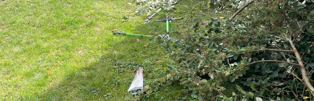 Mohamed E. (JK fleurs)