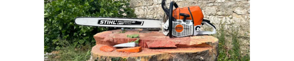 Nathan O. (Elagage de l'Est)