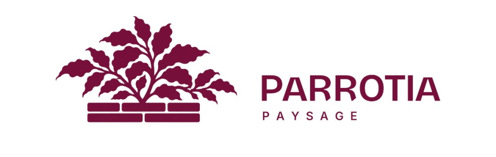 Timeo M. (Parrotia Paysage)