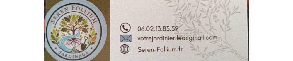 Leo D. (Seren Follium)