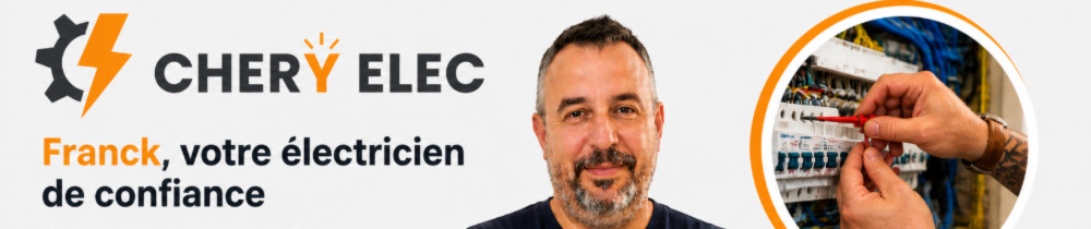 Franck C. (chery elec)