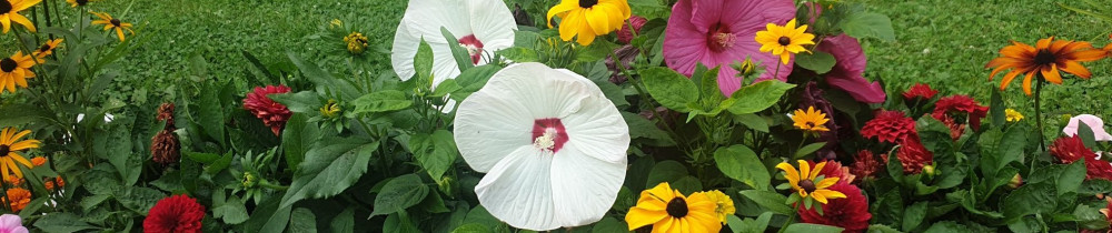 Emelyne M. (Madame JARDIN)