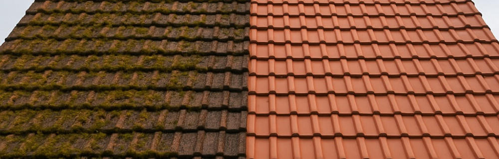 Christopher K. (Kraemer multiservices)