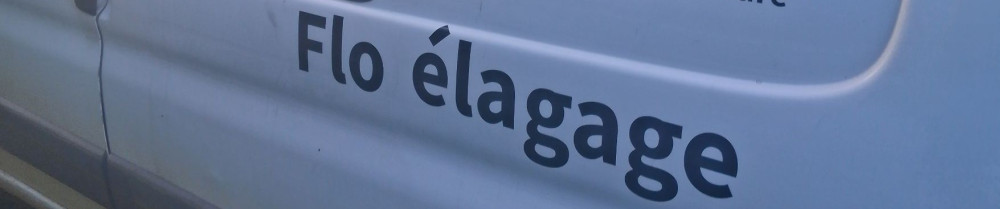 Florian V. (Flo Elagage)