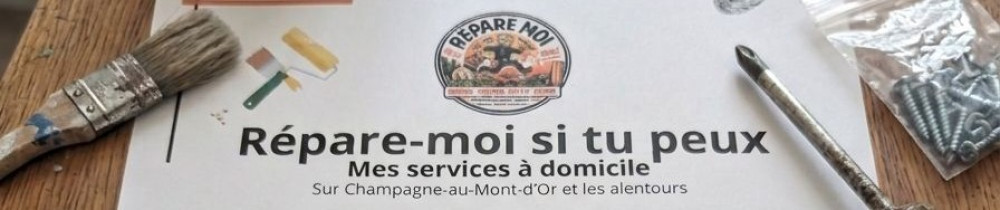 David Z. (REPARE MOI SI TU PEUX)