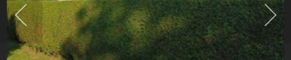 Manuel F. (ML flour)