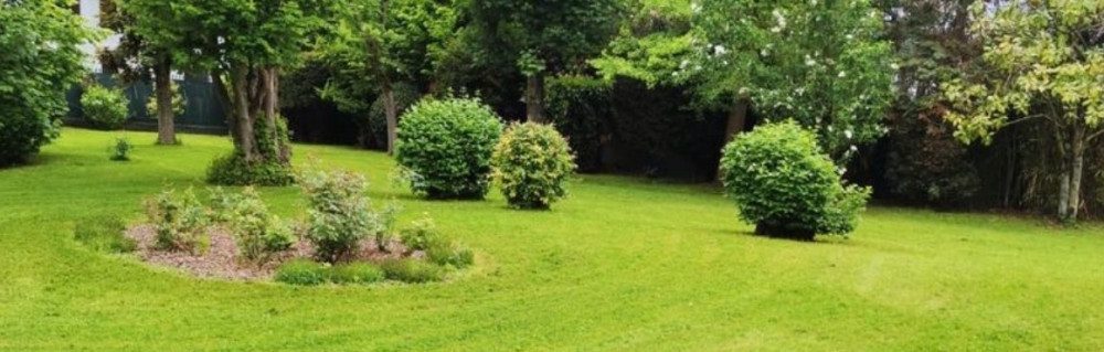 Johnny R. (Respaces)