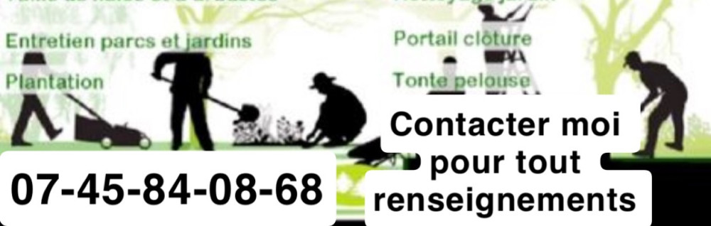 Mayson C. (mc multiple service)