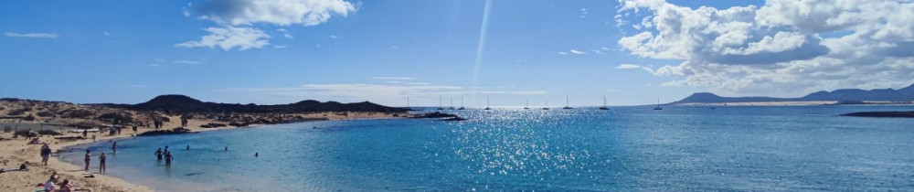 Martin F. (Martin Steam Clean)