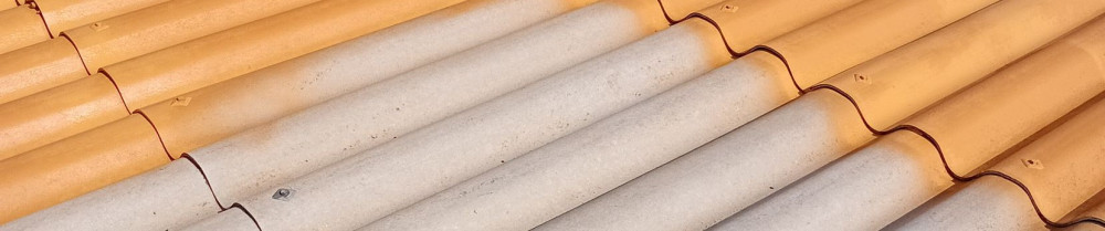 Xavier B. (XBRenovation)