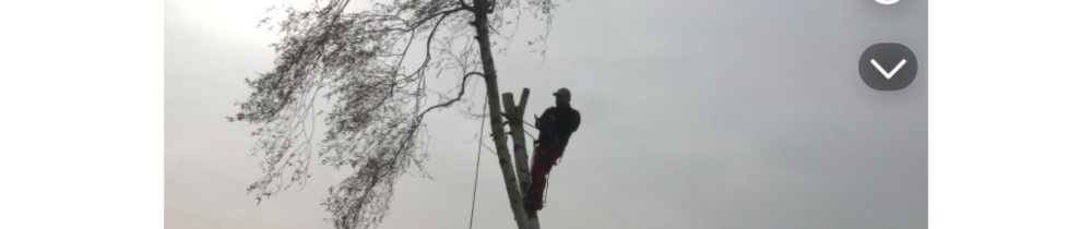 Christophe L. (Multiservices)