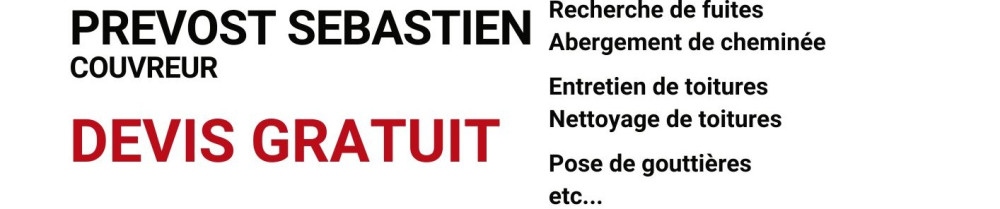 Sébastien P. (Entretien toitures goutt...