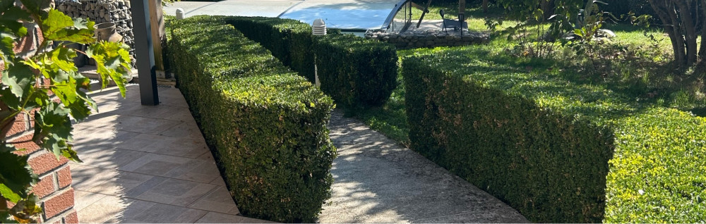 Jordan P. (Pochard Espaces Verts)