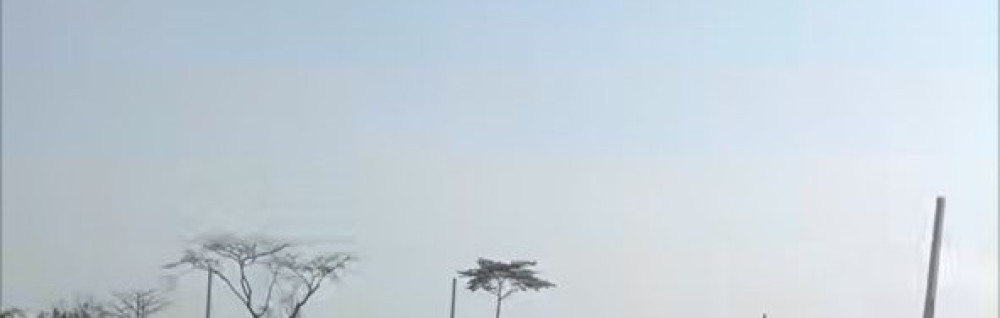 Ismael D. (Dao Service)