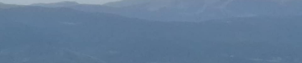 Adrien A. (Adrien Multi Services)