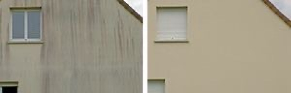 Anthony C. (Copp service)