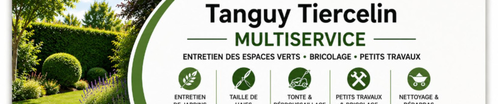 Tanguy T. (TANGUYMULTISERVICES)