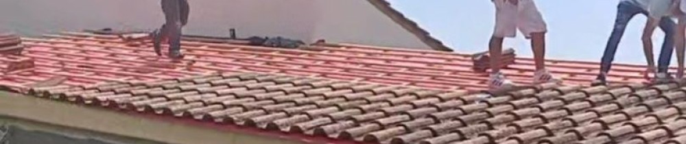 Tyson W. (Tms paysage)