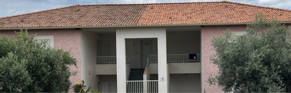 Teddy V. (couverture vogel)