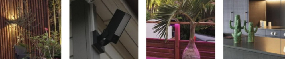 Bruno D. (FIELDELEC)