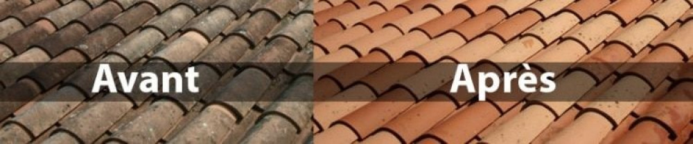 Bryan H. (ramonage hde)