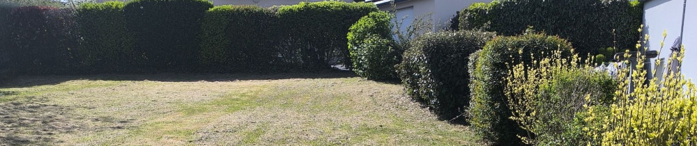 Walter L. (Lemoine Walter)