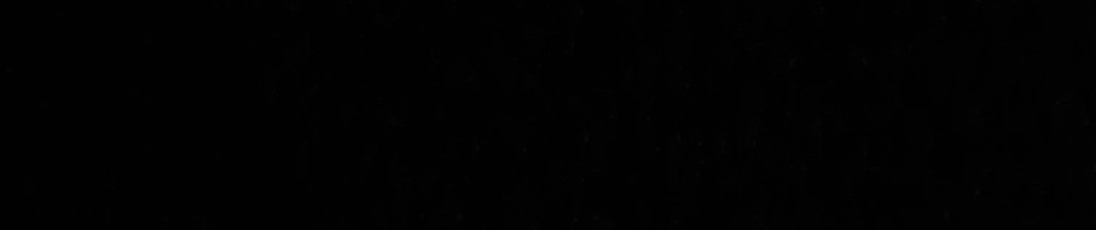 Lydiafils G. (nettoyage)