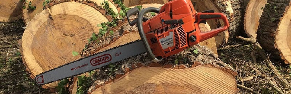 Frédéric L. (Elagueur)