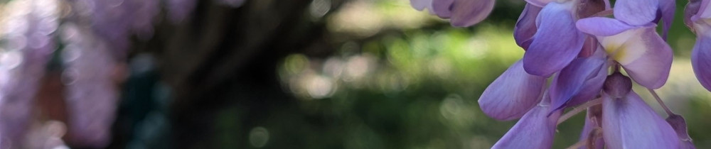 Jade C. (Conciergerie-Bel Été)