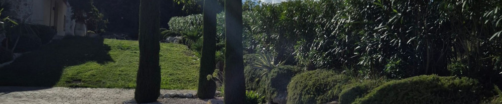 Gabriel D. (Green services & Co)