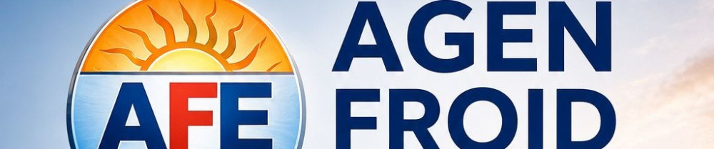 Chafiq E. (AGEN FROID EXPERT)