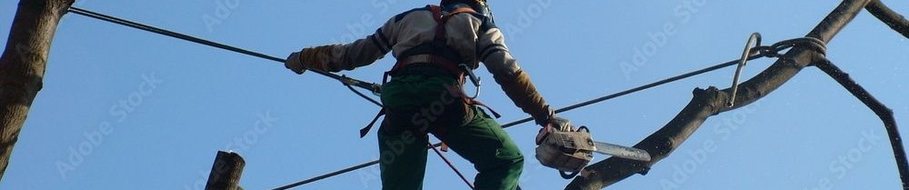 Cameron T. (CT ÉLINGUER Deux-Sévriens)