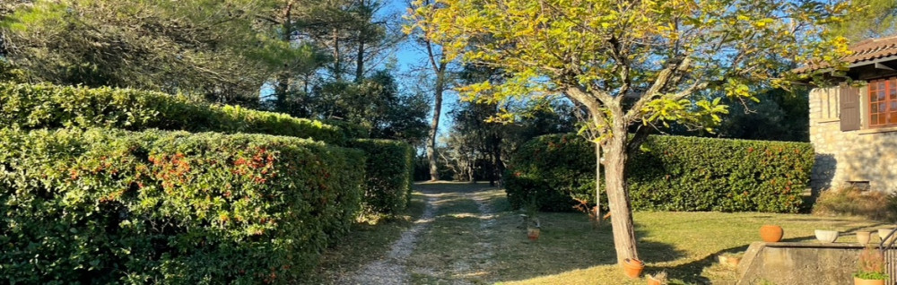 Matt V. (Viala Paysage)