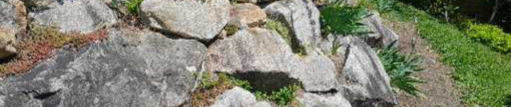 Bastien G. (le lutin des jardins)