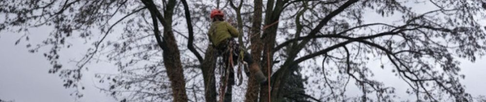 Jean J. (Multiservices)