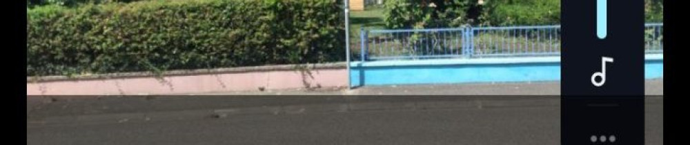 Laurent L. (Jardinier Élagueur Multise...