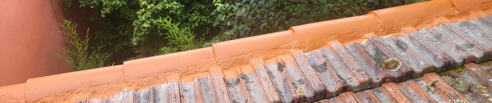 Monzon B. (NS rénovation espace vert)