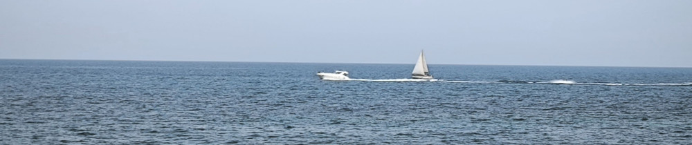 Aaladine R.