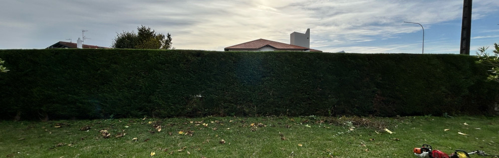 Andoni L. (Berdeguneak)