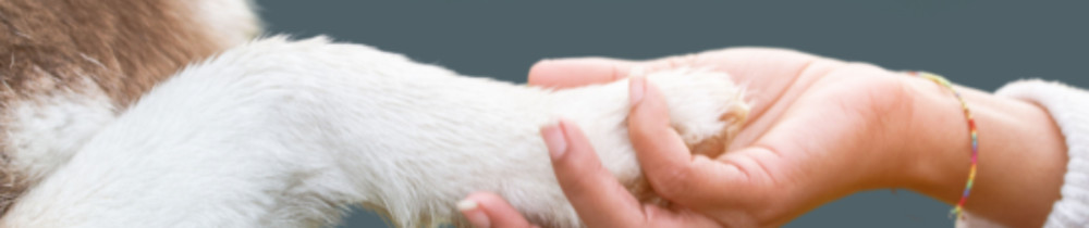 Ingrid P. (Les P'tits Amis d'Ingrid)