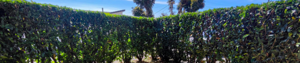 Aurélien G. (EI AURÉLIEN GIRARDOT)