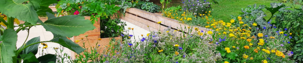 Romain L. (Léger Romain (Créateur rési...