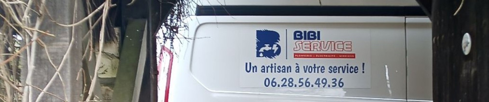 Franck B. (Bibi Service)