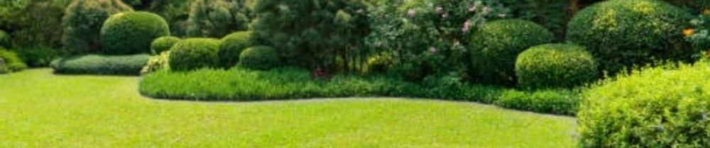 Pierre H. (PH Espaces Verts)